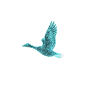 Lead goose