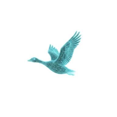 Goose L1