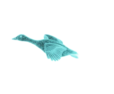 Goose L2